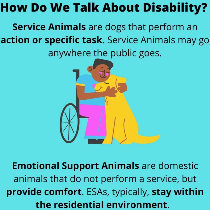 How Do We Talk About Disability? Service Animals are dogs that perform an action or specific task. Service Animals may go anywhere the public goes. Emotional Support Animals are domestic Animals are domestic animals that do perform a service, but provide comfort. ESAs, typically, stay within the residential environment. Clip art image of a man in a wheelchair hugging a yellow dog. 
