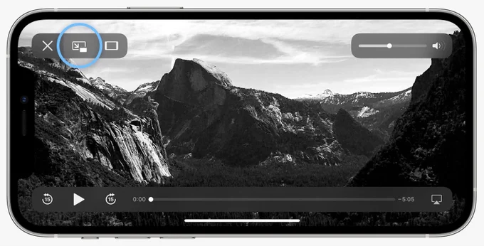 ProCamera’s PiP mode on an iPhone (iOS 14)