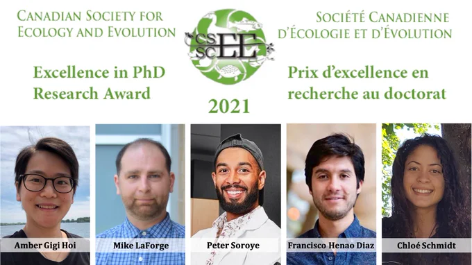 CSEE Logo, text reading"Excellence in PhD Research Award, Prix d'excellence en recherche au doctorat", photos of the five award winners (named in following tweets)