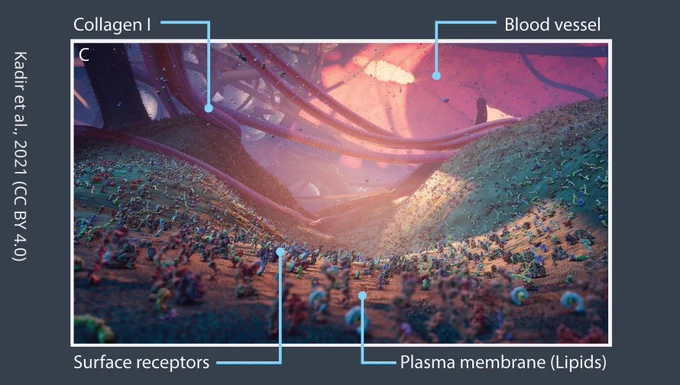 a scene created by nanoscape of the surface of a cell and other microscopic structures