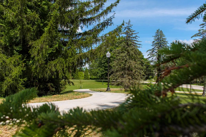 Looking through the trees at a winding path through the green grass.