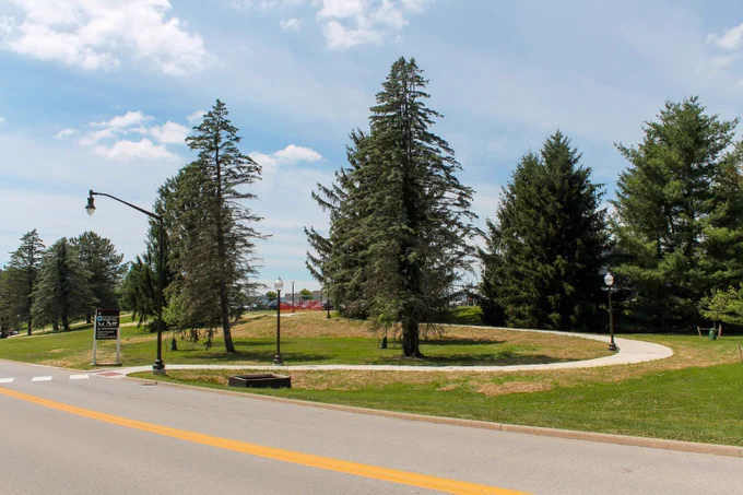 Looking across the street at the winding path. The street covers the bottom left corner of the photo with a hill and trees.