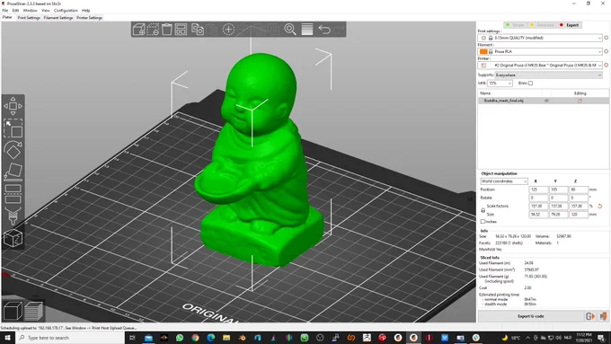 The scanned object in PrusaSlicer.
