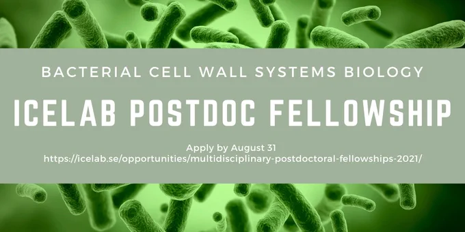 Text over an image of dark green bacteria announcing a postdoctoral fellowship