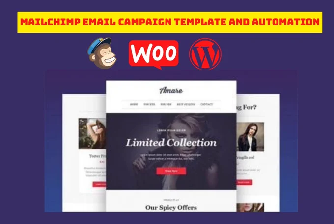 Mailchimp email campaign , Mailchimp campaign , Mailchimp template , Email marketing , Mailchimp automation ,