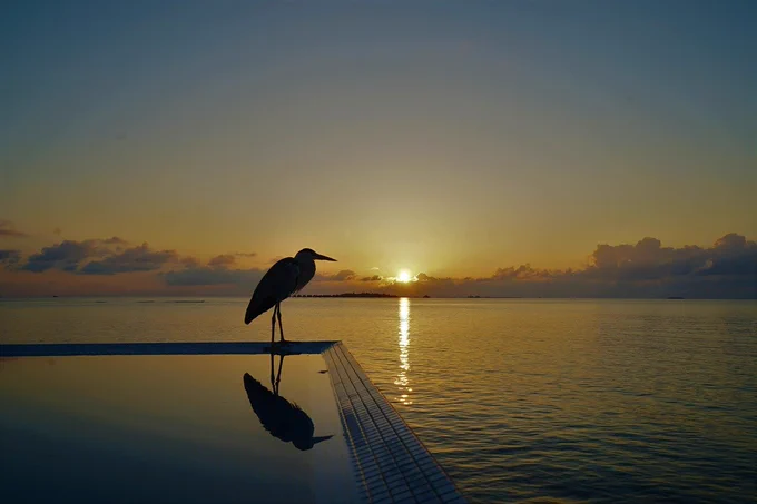 sunrise, sea, sky