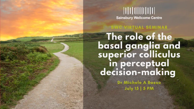 Pathway leading into the distance with text overlaid "SWC virtual seminar - The role of the basal gandlia and superior colliculus in perceptual decision-making - Dr Michele A Basso - July 15 at 5 PM"