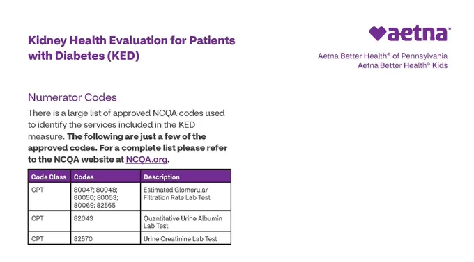 Kidney Health Evaluation for Patients with Diabetes CPT codes