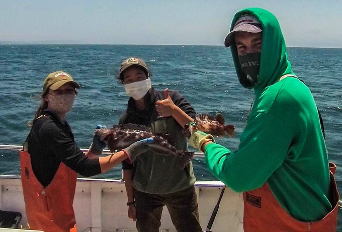Science crew members holding a lingcod and gopher rockfish caught by volunteer angler