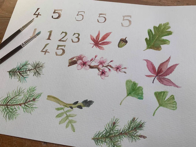 watercolour paintings of numerals (1-5) and various branches/leaves.