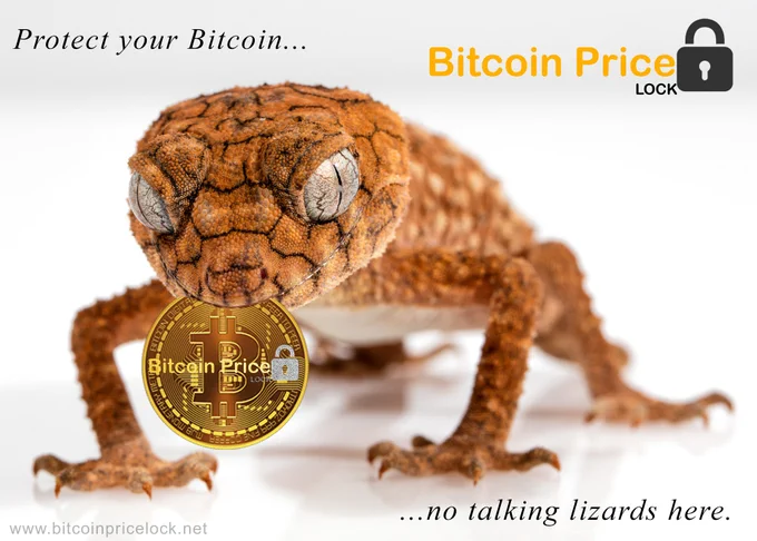 Protect your bitcoin…no talking lizards here. Bitcoin Price Lock Assurance Plan protects your bitcoin investment from a price drop, you keep using it and it stays in your wallet. 
#bitcoinpricelock #btc #bitcoin #cryptocurrency #bitcoininsurance #crypto #cash #bitcoininvestment #investment #insurance #BTCPriceLock #daytrader #coinbase
