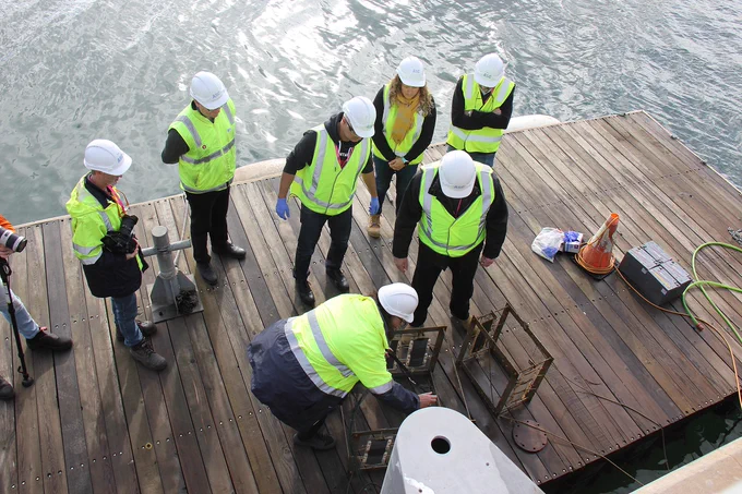 Members of the research team from ASC and Flinders University, examining the samples on ASC’s Port River wharf.