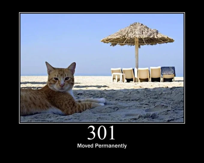 HTTP 301 - a picture of a cat at beach