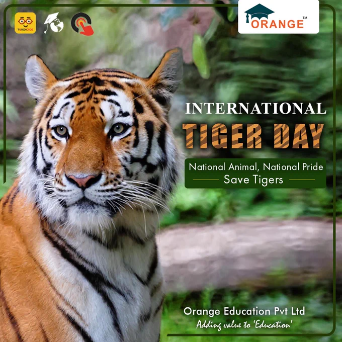 tiger day by orange education