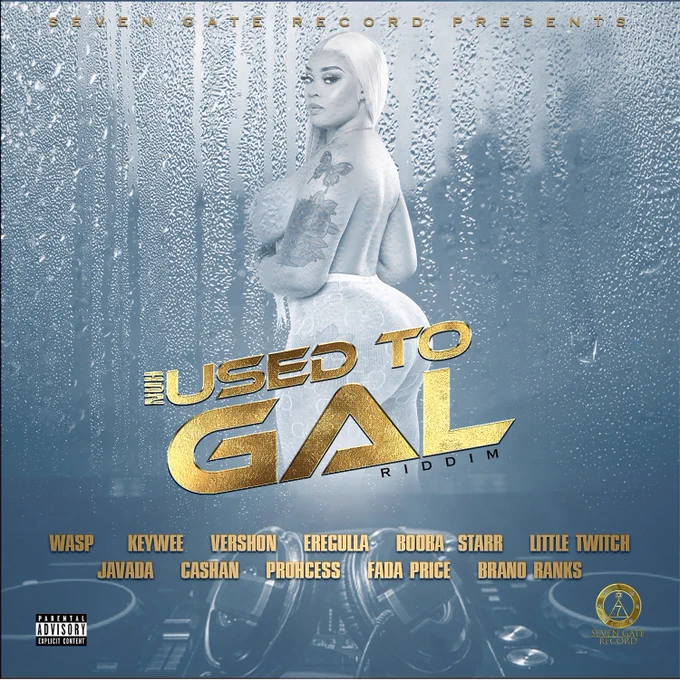 nuh used to gal riddim by 7gate record 