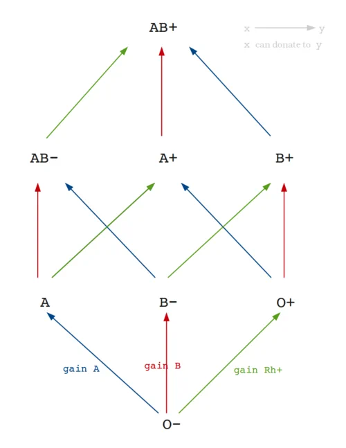 Blood type lattice image from: https://isomorphismes.wordpress.com/2011/05/02/blood-type/