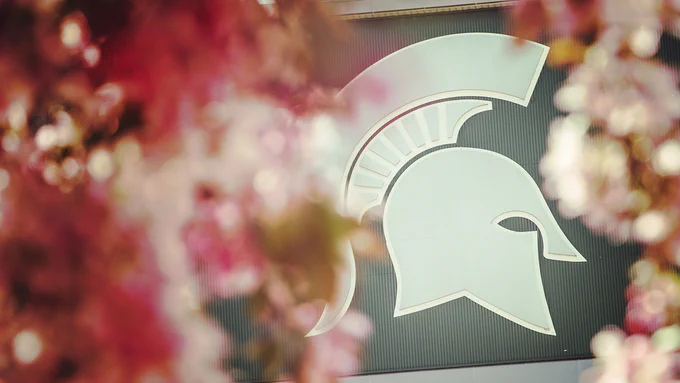 Closeup photo of the Spartan Stadium helmet with pink flowers surrounding it