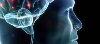An x-ray of a person with an ear is highlighted in silver. 