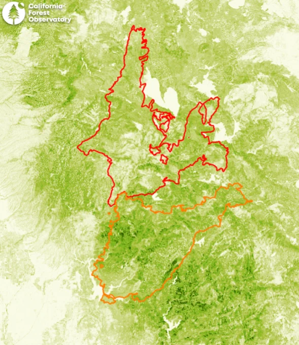 perimeters from two major wildfires on a map of tree height from the california forest observatory