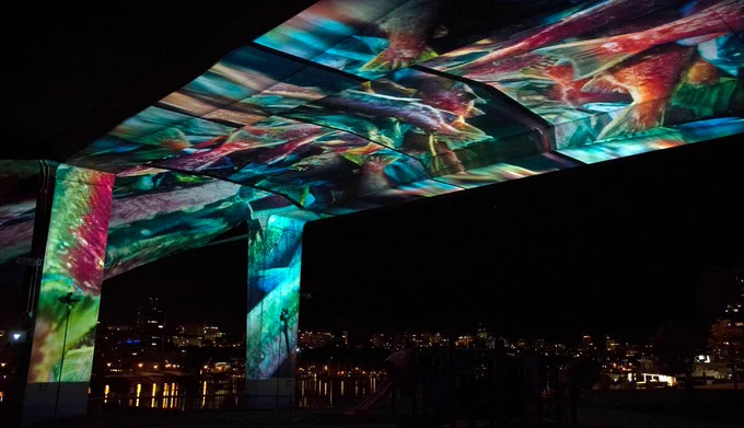 A bridge at night on which an art installation of swimming salmons has been projected.  