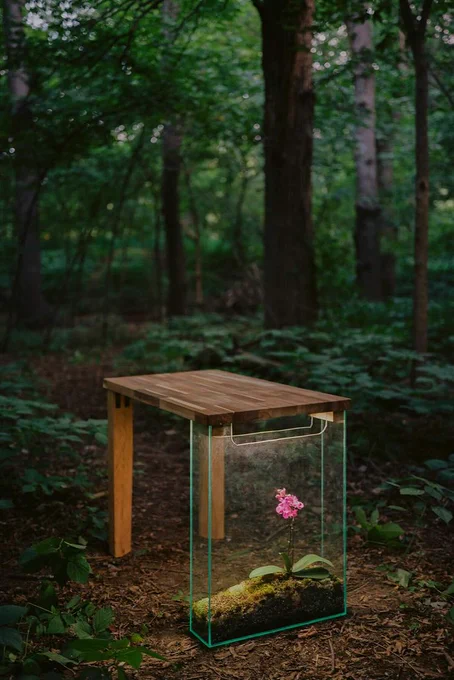 The Orchid Desk