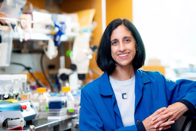 UCSF researcher Tejal Desai, one of the founding team.