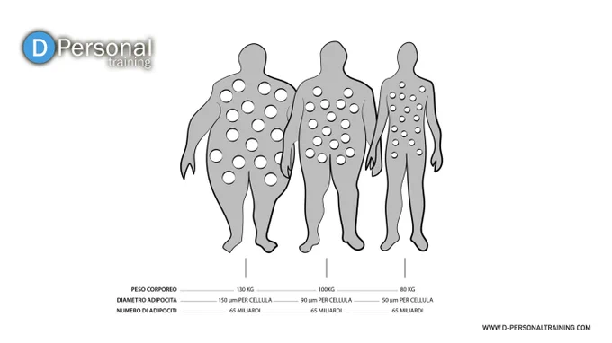David Bertoli Personal Trainer Lifestyle Coach Faenza
WWW.D-PERSONALTRAINING.COM