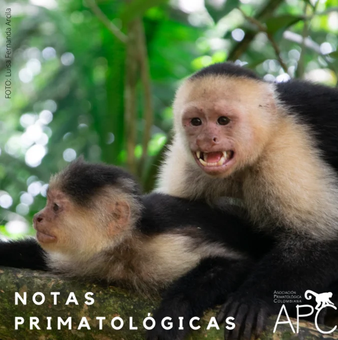 https://www.asoprimatologicacolombiana.org/.../sobre-la...