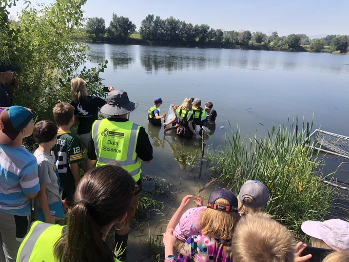 Students on the shoreline watching students in Webster Pond releasing northern red belly dace.