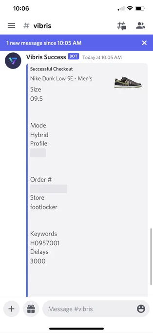 Success by Sundance#3548