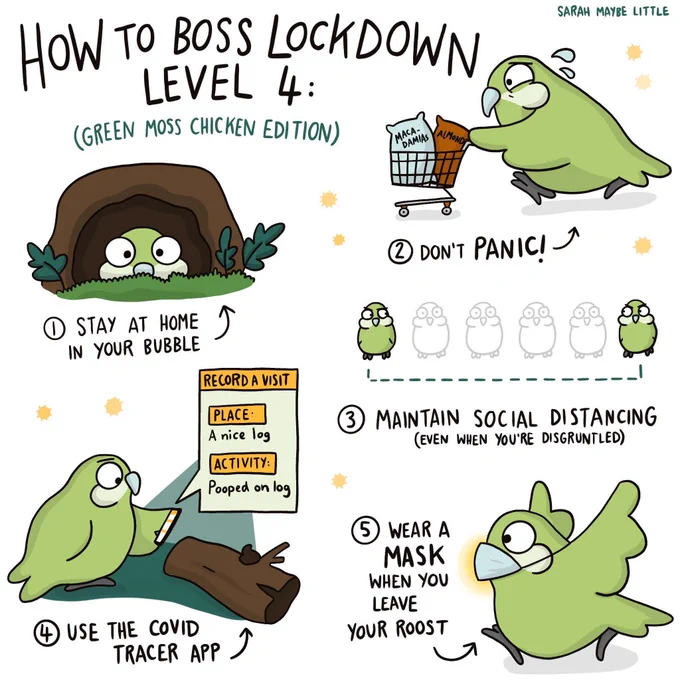 A kākāpō / COVID19 cartoon by Sarah Little.