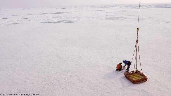An Argo float being deployed on the sea ice.