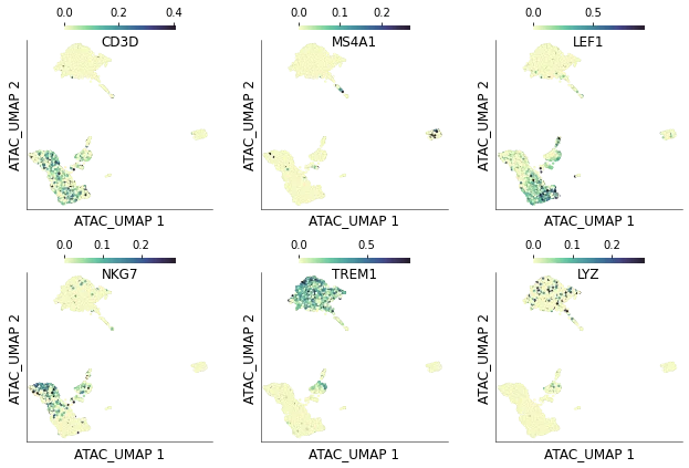 PBMC scATAC peaks derived gene accessibility values (GeneScores) visualized on UMAP