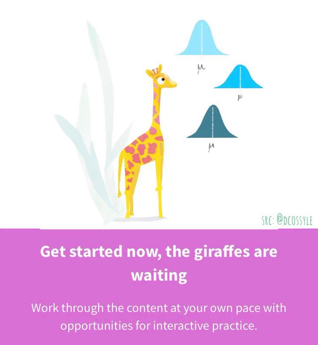 Get started now, the giraffes are waiting
