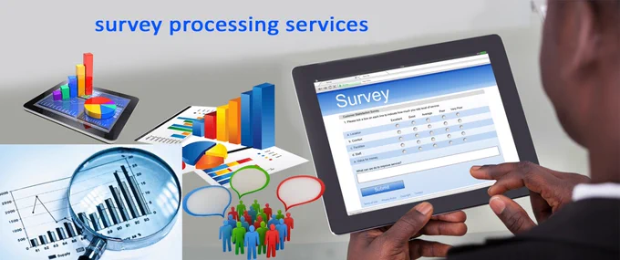 survey-processing-services