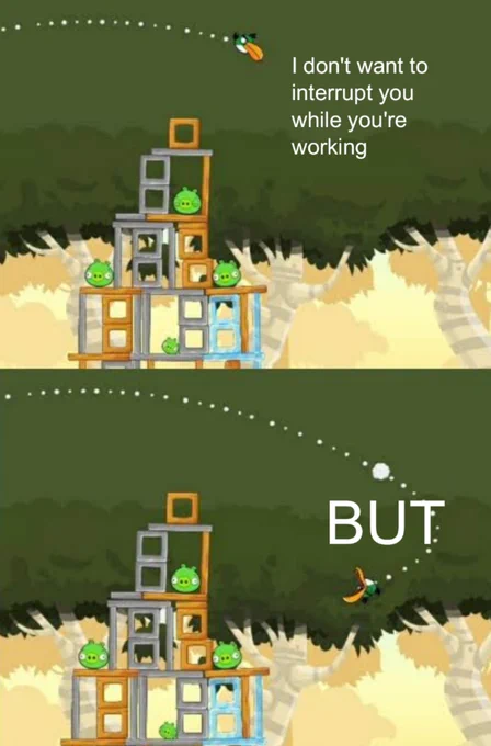 "I don't want to interrupt you while you're working"

*Boomerang Angry Bird swings backwards*

"**BUT**"
