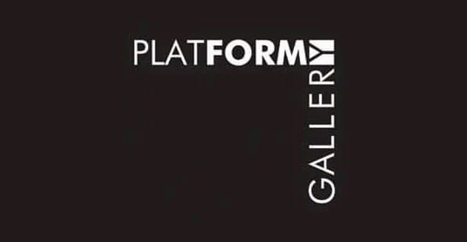 Platform Gallery Logo