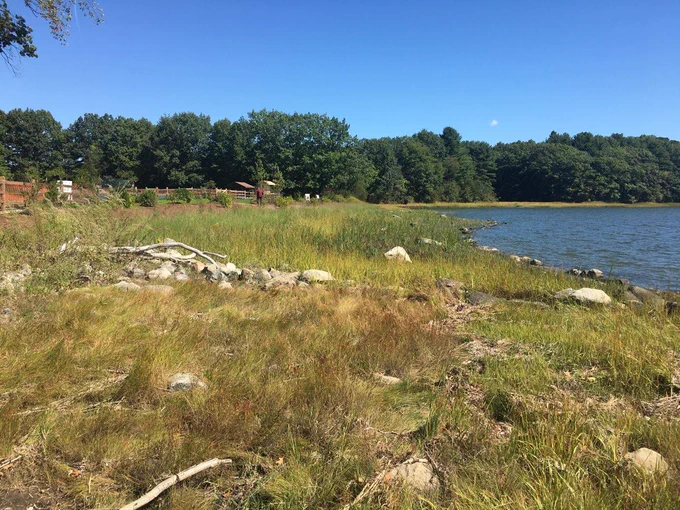 Image of blue sky and grassy shoreline along the water’s edge.