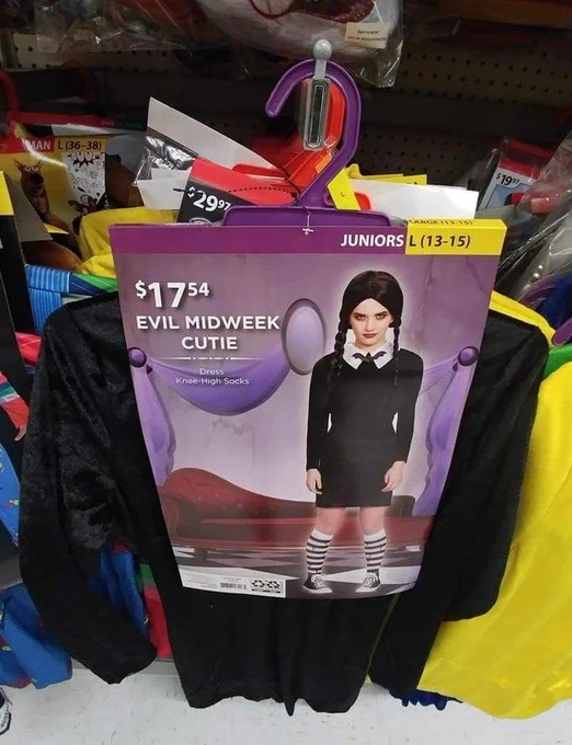 photo of wednesday addams costume