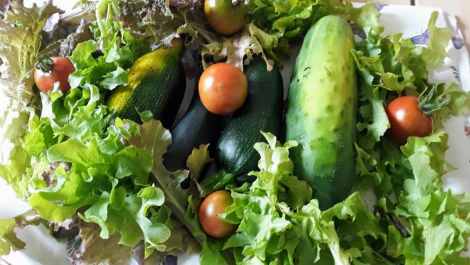 Garden produce