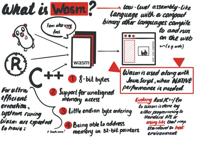 What is Wasm? A low-level binary file that compiles down from other programming languages. It's used along with JavaScript when you programs require native performance. It's also very very fast!