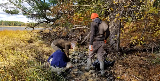 Image of three people collecting trash on a rocky shoreline of an estuary.