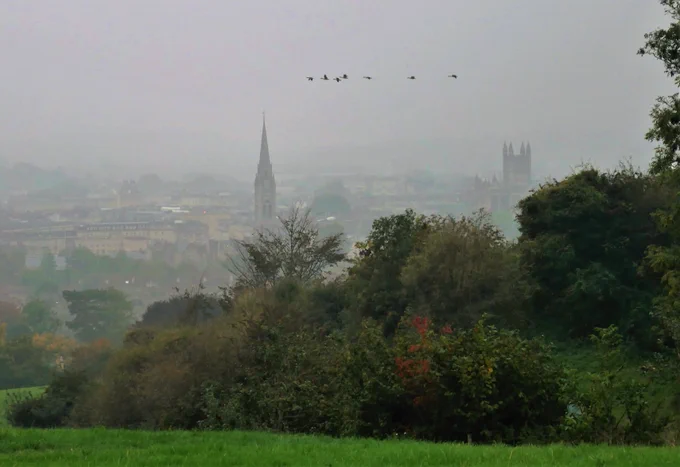 A line of geese flies above the skyline of a foggy Bath, with hedges and trees in the foreground.