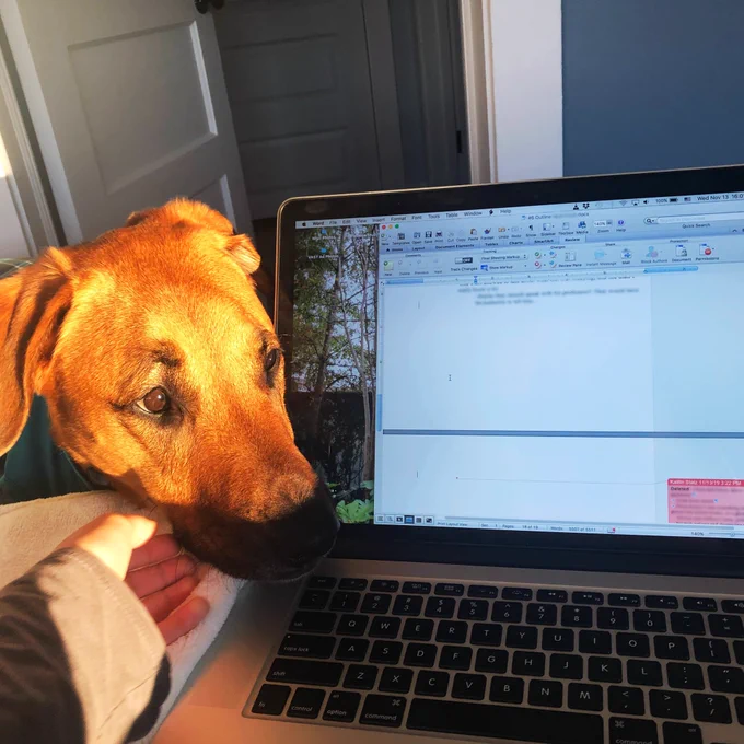 Eezo, face glowing in the sunset, helps me write!