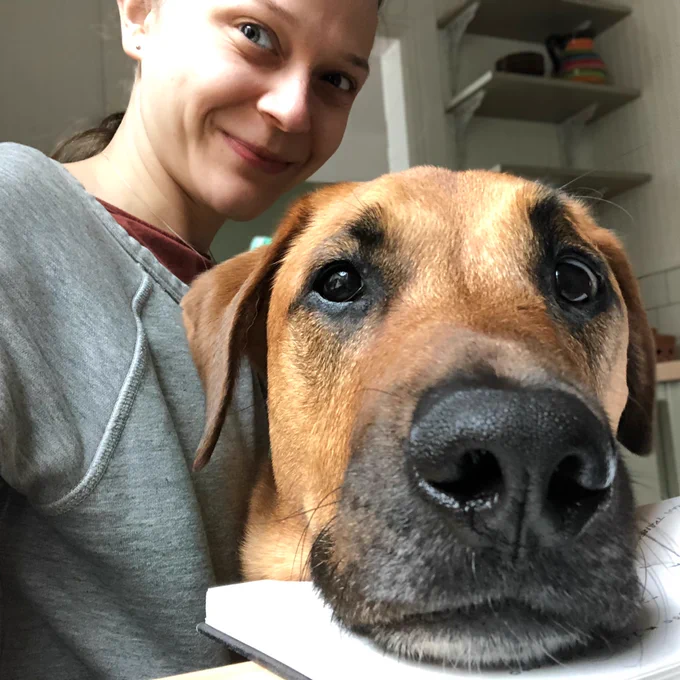 Eezo, our dog, trying to read my notes.
