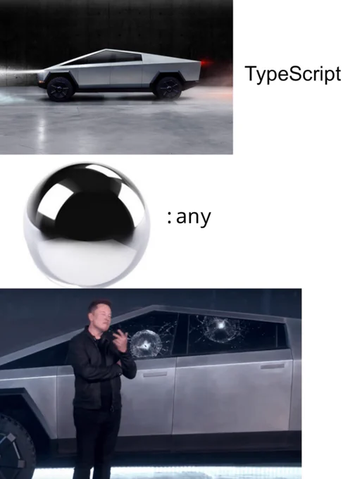 Cybertruck: TypeScript

Ball bearing: :any

Elon Musk: Shrugging off broken windows