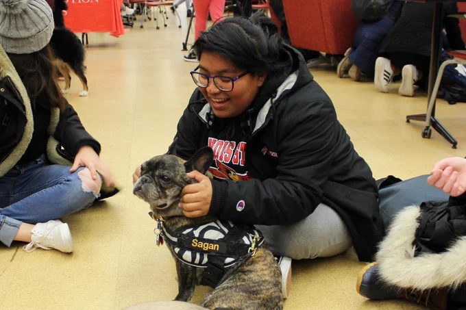 student with therapy dog Carl Sagan