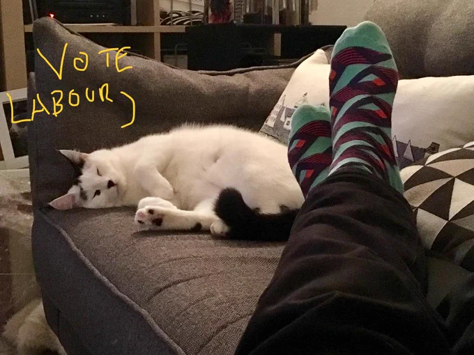 A cat is lying on a sofa. A speech bubble has been drawn coming out of its mouth saying 'Vote Labour'. The cat will be displeased if you do not vote Labour.