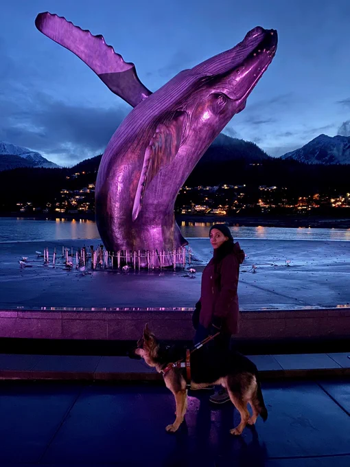 My German Shepherd Seeing Eye dog and I are standing in front of a large sculpture of a whale. It’s bathed in purple light. Behind it is Gastineau Channel which is reflecting lights from the distant shore. Snow capped mountains are also in the distance.