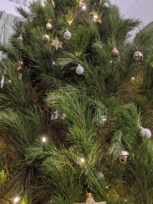 Christmas tree with decorations.